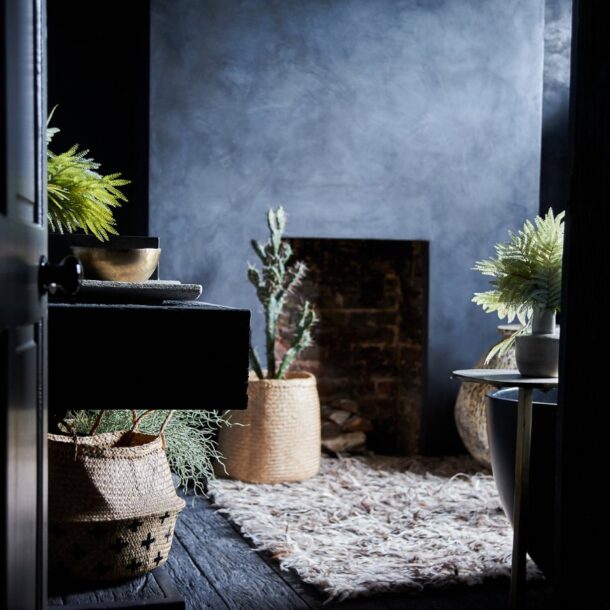 Fireplace with plants and pots