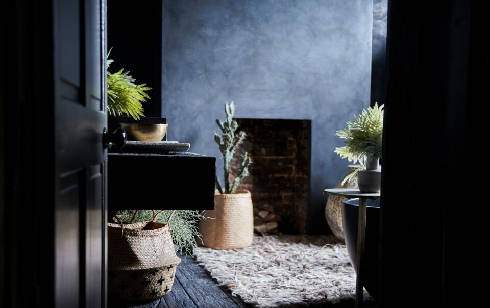 Fireplace with plants and pots